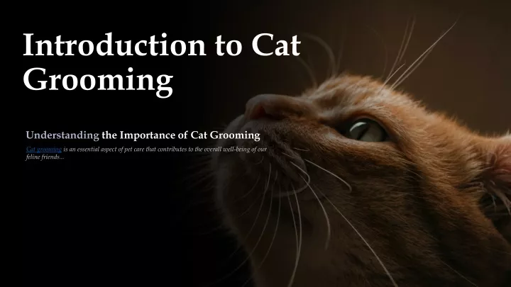 introduction to cat grooming