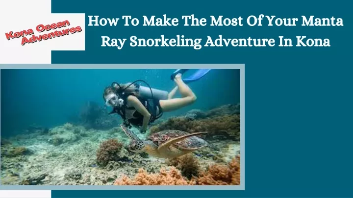 how to make the most of your manta ray snorkeling