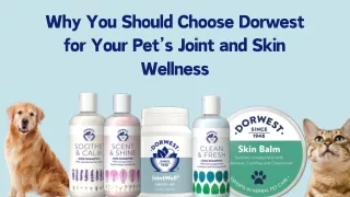 Enhancing Your Pet's Well-Being: Choose Dorwest for Joint and Skin Health