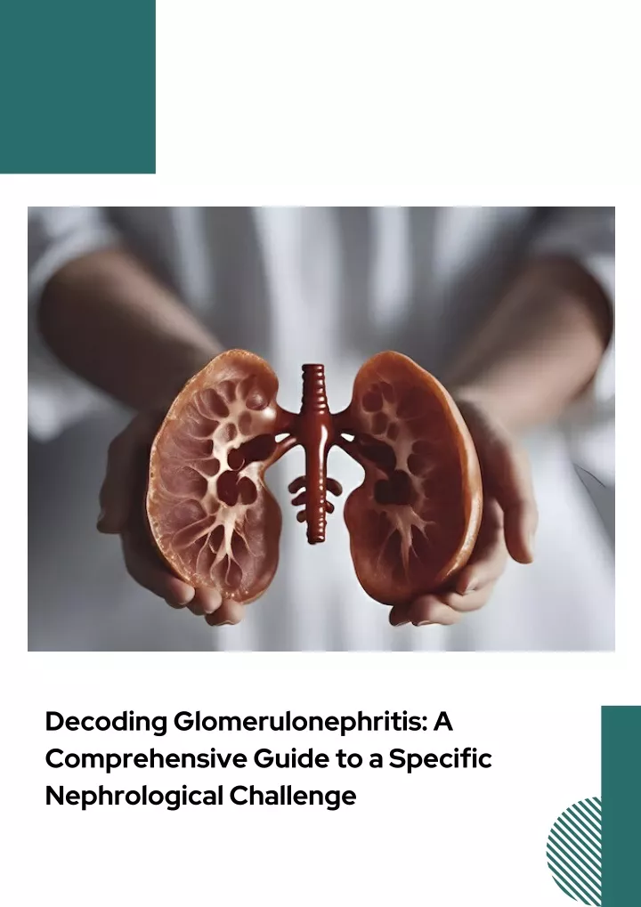 decoding glomerulonephritis a comprehensive guide