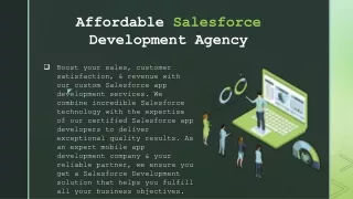 Salesforce Development Agency