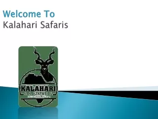 Kalahari tours botswana