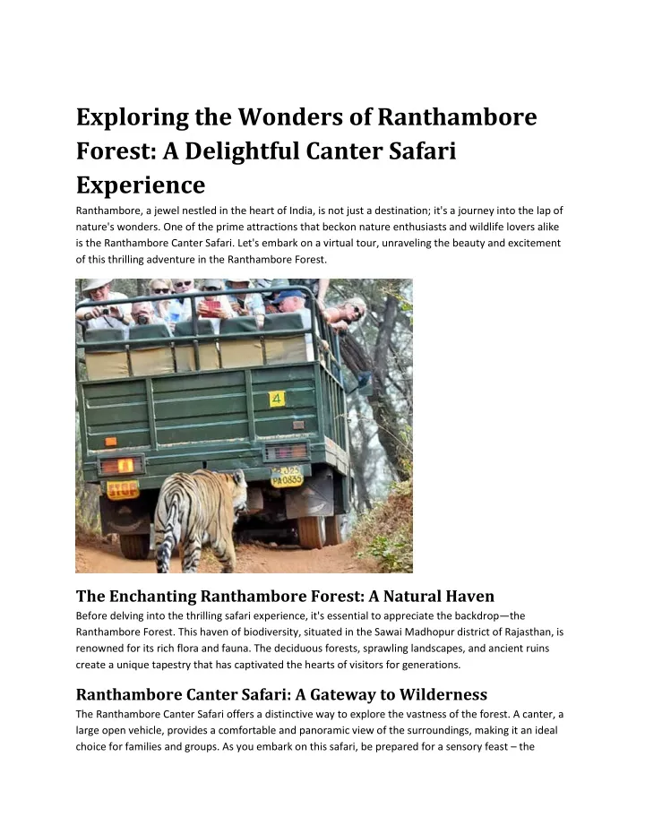 exploring the wonders of ranthambore forest