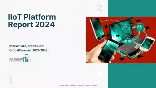 iiot platform report 2024