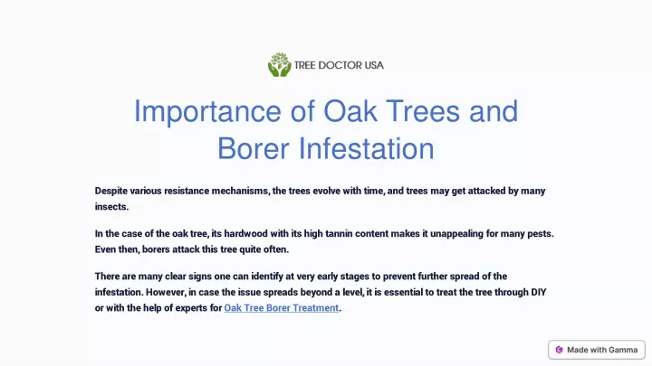 importance of oak trees and borer infestation