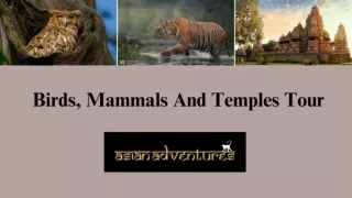 Wildlife Tours India | Wildlife Tour Packages In India