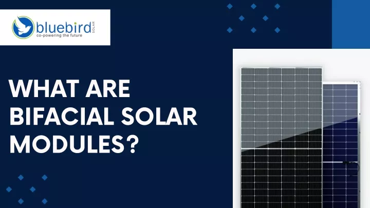 what are bifacial solar modules