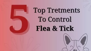 5 Top Treatments to Control Fleas and Ticks