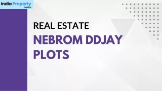 real estate nebrom ddjay plots