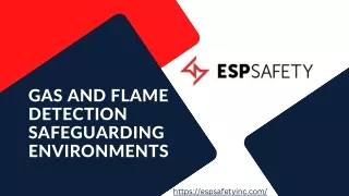 Gas and Flame Detection: Safeguarding Environments