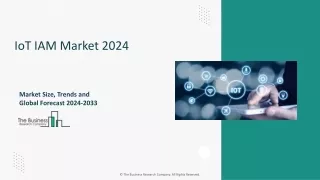 iot iam market 2024