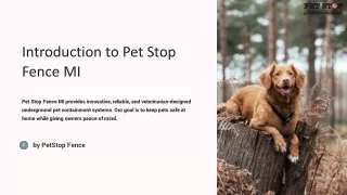 Pet Stop Underground Fence: Get Invisible Safety for Your Furry Friend