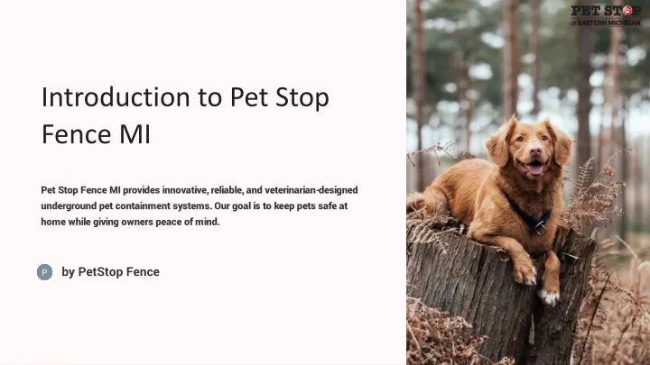 introduction to pet stop fence mi