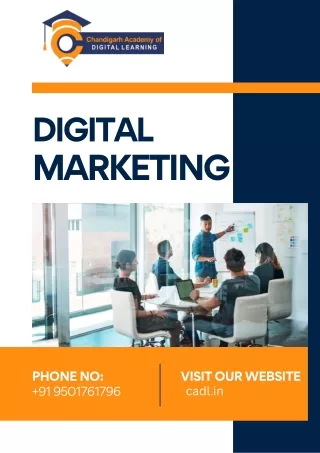 Complete digital marketing course in zirakpur