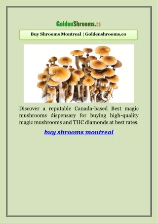Buy Shrooms Montreal | Goldenshrooms.co