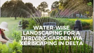 Water-Wise Landscaping for A Thriving Garden Via Xeriscaping in Delta