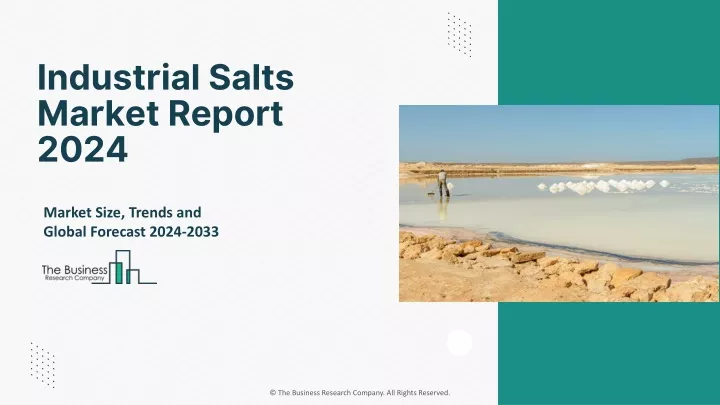industrial salts market report 2024