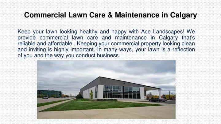 commercial lawn care maintenance in calgary