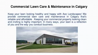 Commercial Lawn Care & Maintenance in Calgary - Ace Landscapes