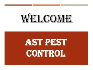 Best Cockroaches Control Service in Ambarvale