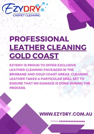 Professional Leather cleaning gold coast