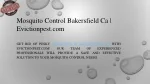 Mosquito Control Bakersfield Ca  Evictionpest.com - slide 1