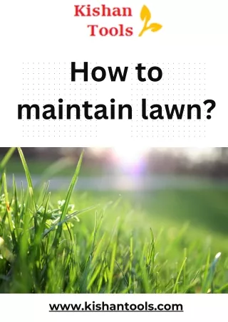 How to maintain lawn