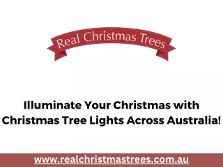 Illuminate Your Christmas with Christmas Tree Lights Across Australia!