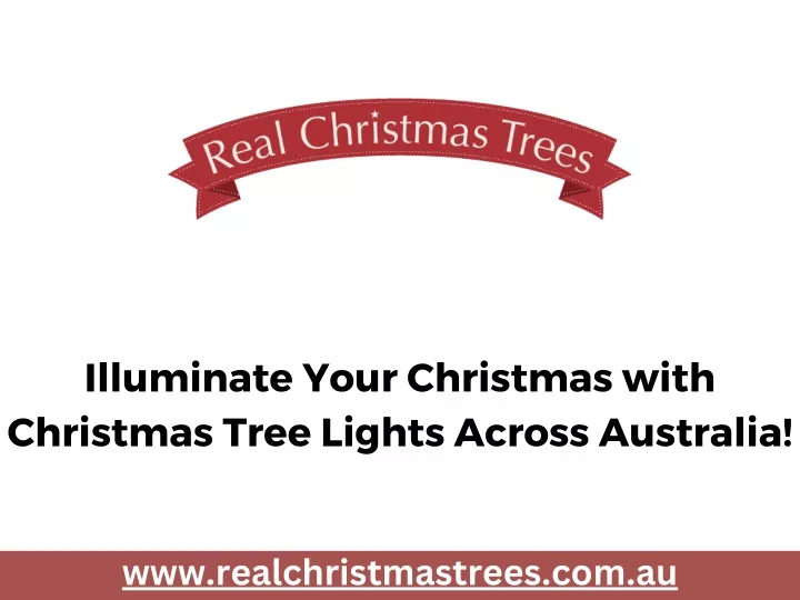 illuminate your christmas with christmas tree