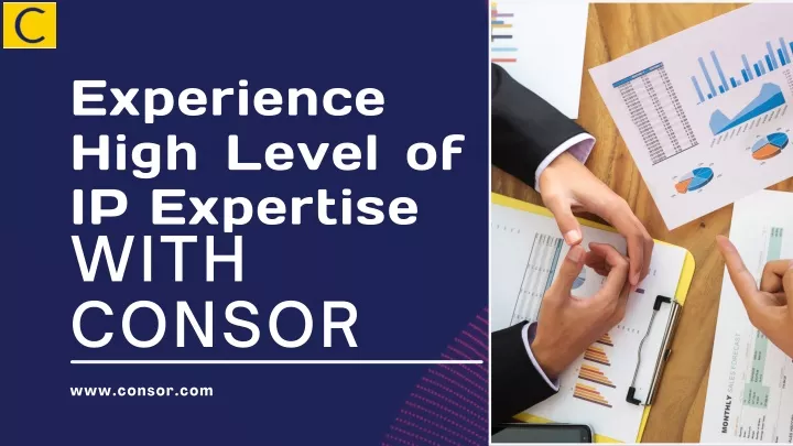 experience high level of ip expertise with consor