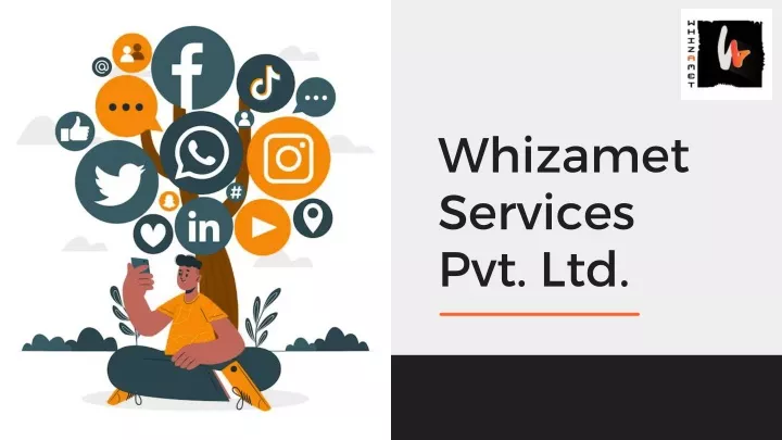 whizamet services pvt ltd