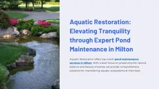 Aquatic Restoration Elevating Tranquility through Expert Pond Maintenance in Milton