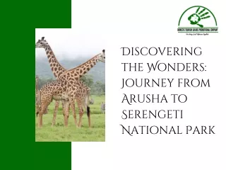 Discovering the Wonders Journey from Arusha to Serengeti National Park