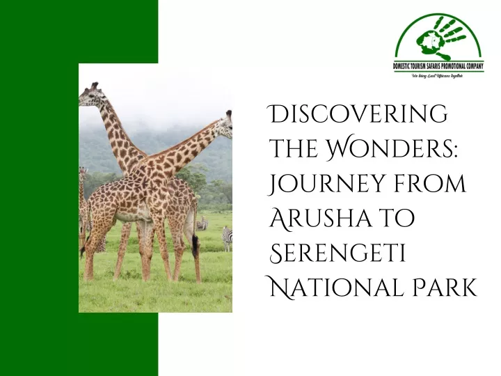 discovering the wonders journey from arusha