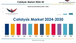 catalysis market 2024 2030