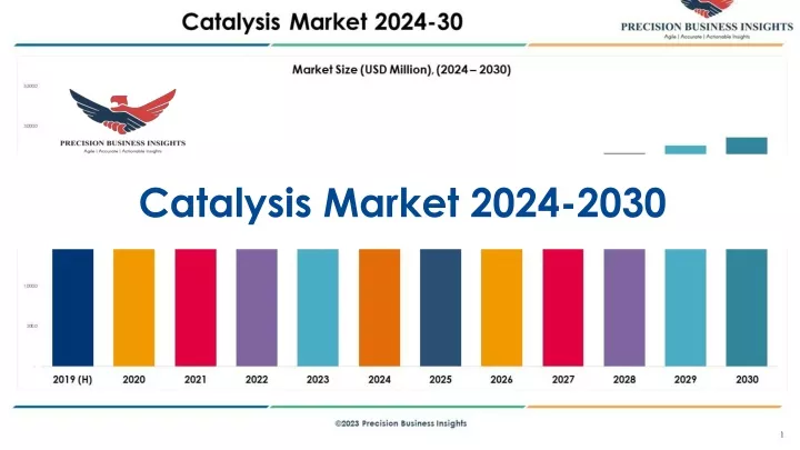 catalysis market 2024 2030