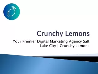 Salt Lake City Digital Marketing Company | Crunchy Lemons