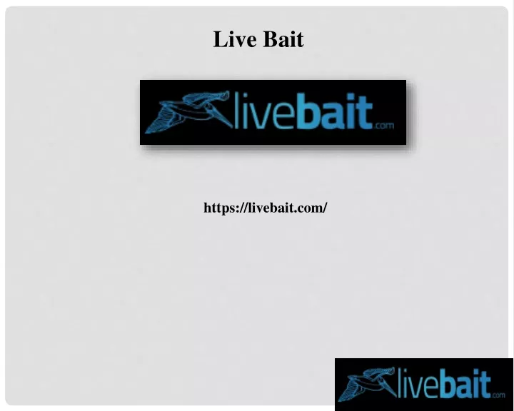 live bait