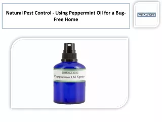 Get the Peppermint Oil Bug repellent and for Ants - Home Services