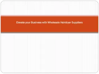 Elevate your Business with Wholesale Hairdryer Suppliers