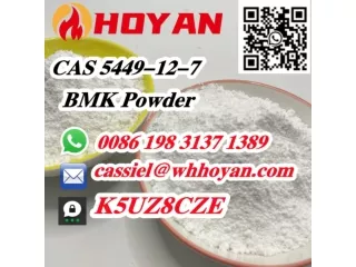 Chemical BMK raw powder CAS 5449-12-7 with good quality