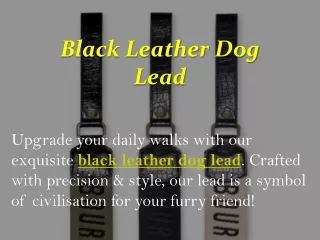 Black Leather Dog Lead
