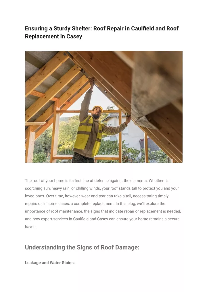 ensuring a sturdy shelter roof repair