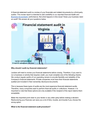 What is the Financial Statement Audit Process?