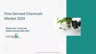 pine derived chemicals market 2024