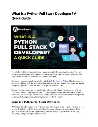 What is a Python Full Stack Developer A Quick Guide