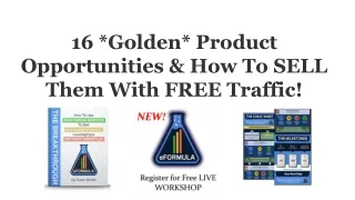 eFormula Case Studies of 16 Golden Product Opportunities & How To SELL Them With FREE Traffic
