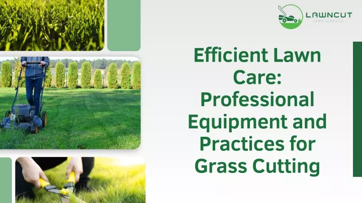 efficient lawn care professional equipment