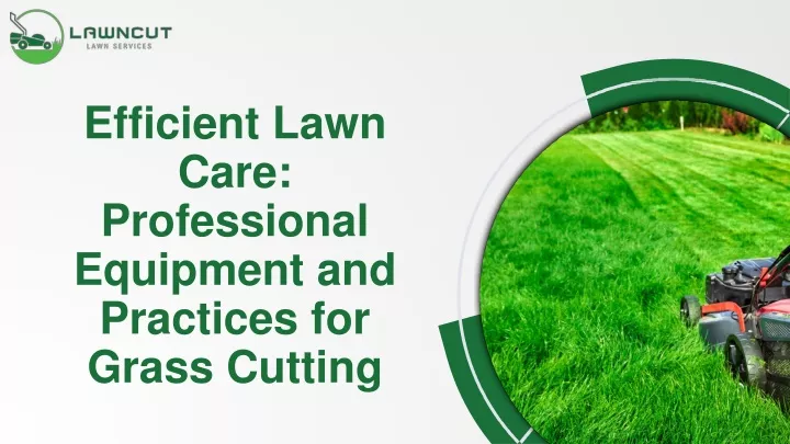 efficient lawn care professional equipment