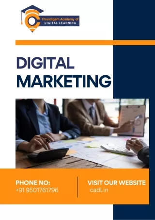 Digital marketing diploma online in zirakpur